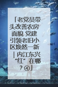 老党员带头改善农房面貌 党建引领老旧小区焕然一新｜内江东兴“红”在哪？④