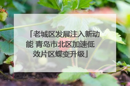 老城区发展注入新动能 青岛市北区加速低效片区蝶变升级