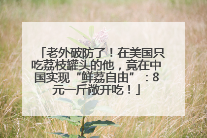 老外破防了！在美国只吃荔枝罐头的他，竟在中国实现“鲜荔自由”：8元一斤敞开吃！