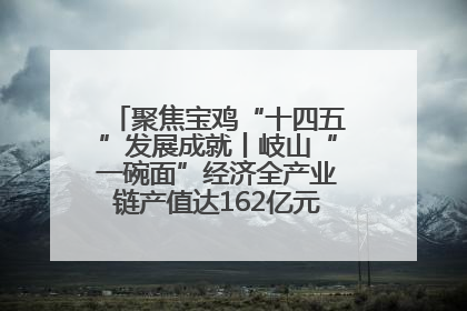 聚焦宝鸡“十四五”发展成就丨岐山“一碗面”经济全产业链产值达162亿元 入选全国典型县
