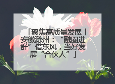 聚焦高质量发展丨安徽滁州：“融圈进群”借东风，当好发展“合伙人”