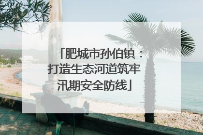 肥城市孙伯镇：打造生态河道筑牢汛期安全防线