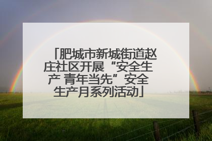 肥城市新城街道赵庄社区开展“安全生产 青年当先”安全生产月系列活动