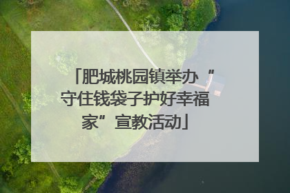 肥城桃园镇举办“守住钱袋子护好幸福家”宣教活动