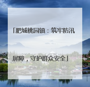 肥城桃园镇：筑牢防汛屏障，守护群众安全