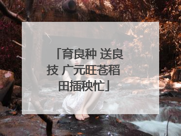 育良种 送良技 广元旺苍稻田插秧忙