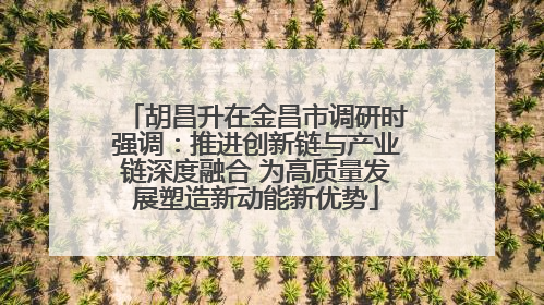 胡昌升在金昌市调研时强调：推进创新链与产业链深度融合 为高质量发展塑造新动能新优势