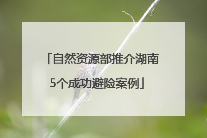 自然资源部推介湖南5个成功避险案例