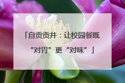 自贡贡井：让校园餐既“对胃”更“对味”