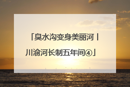 臭水沟变身美丽河丨川渝河长制五年间④
