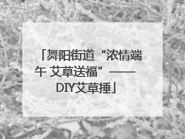 舞阳街道“浓情端午 艾草送福”——DIY艾草捶