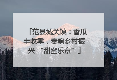 范县城关镇：香瓜丰收季，奏响乡村振兴 “甜蜜乐章”