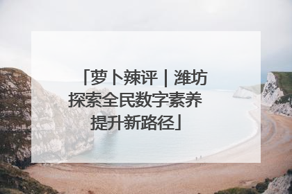 萝卜辣评｜潍坊探索全民数字素养提升新路径