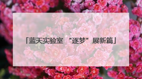 蓝天实验室 “逐梦”展新篇