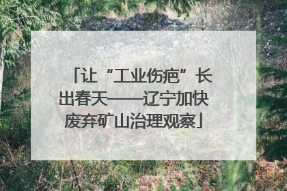 让“工业伤疤”长出春天——辽宁加快废弃矿山治理观察
