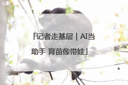 记者走基层｜AI当助手 育苗像带娃