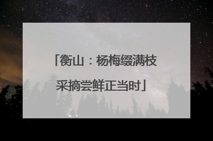 衡山：杨梅缀满枝 采摘尝鲜正当时