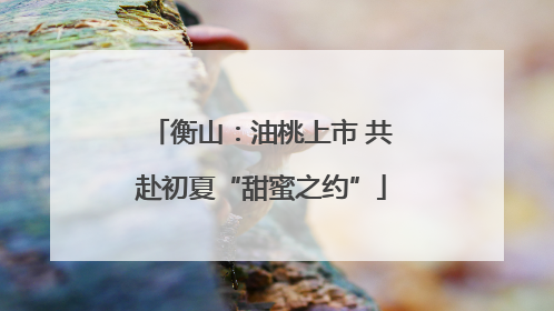 衡山：油桃上市 共赴初夏“甜蜜之约”