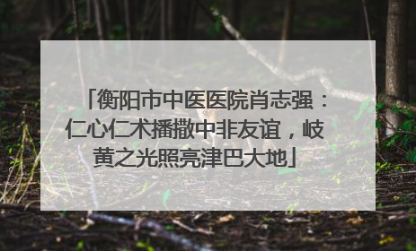 衡阳市中医医院肖志强：仁心仁术播撒中非友谊，岐黄之光照亮津巴大地