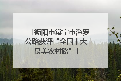 衡阳市常宁市渔罗公路获评“全国十大最美农村路”