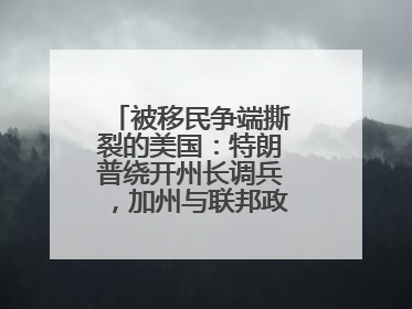 被移民争端撕裂的美国：特朗普绕开州长调兵，加州与联邦政府正面对抗