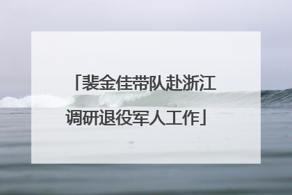 裴金佳带队赴浙江调研退役军人工作