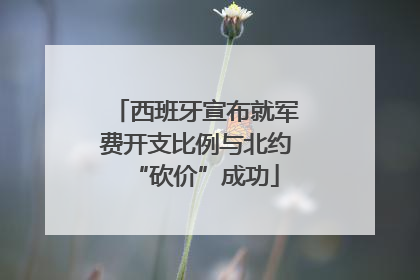 西班牙宣布就军费开支比例与北约“砍价”成功