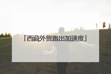西藏外贸跑出加速度