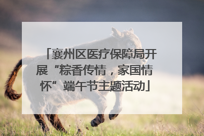 襄州区医疗保障局开展“粽香传情，家国情怀”端午节主题活动
