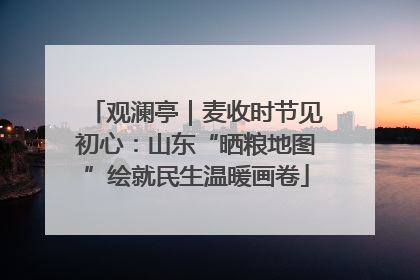 观澜亭｜麦收时节见初心：山东“晒粮地图”绘就民生温暖画卷