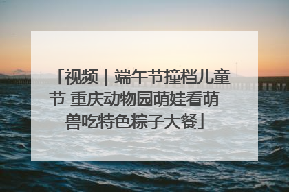 视频｜端午节撞档儿童节 重庆动物园萌娃看萌兽吃特色粽子大餐