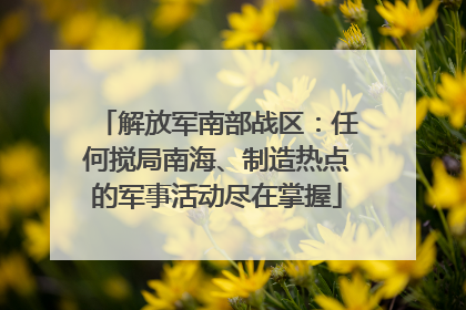 解放军南部战区：任何搅局南海、制造热点的军事活动尽在掌握