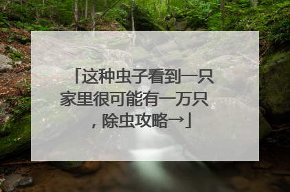 这种虫子看到一只家里很可能有一万只，除虫攻略→