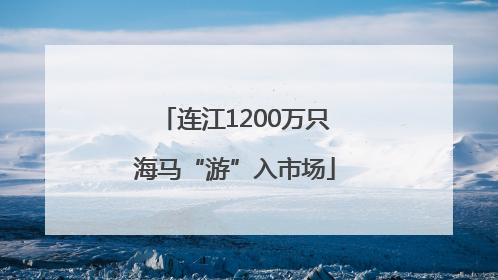连江1200万只海马“游”入市场