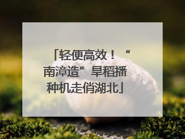 轻便高效！“南漳造”旱稻播种机走俏湖北