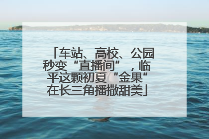 车站、高校、公园秒变“直播间”，临平这颗初夏“金果”在长三角播撒甜美