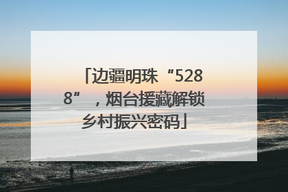 边疆明珠“5288”，烟台援藏解锁乡村振兴密码