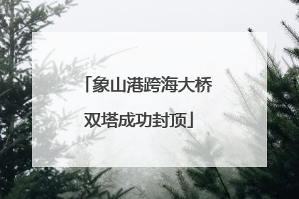 象山港跨海大桥双塔成功封顶