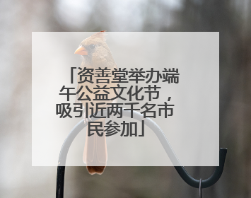 资善堂举办端午公益文化节，吸引近两千名市民参加