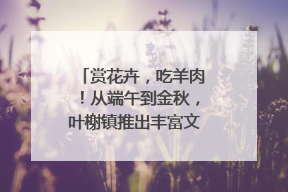 赏花卉，吃羊肉！从端午到金秋，叶榭镇推出丰富文旅活动邀您爽玩