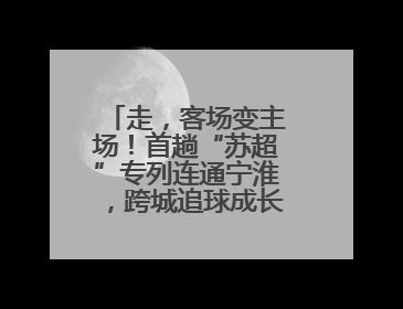 走，客场变主场！首趟“苏超”专列连通宁淮，跨城追球成长三角人新日常