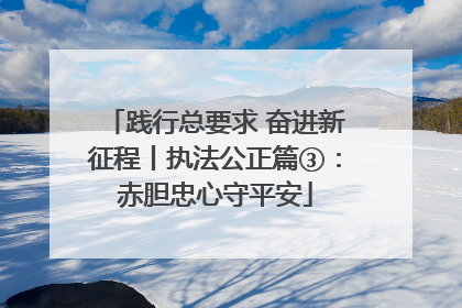 践行总要求 奋进新征程丨执法公正篇③：赤胆忠心守平安