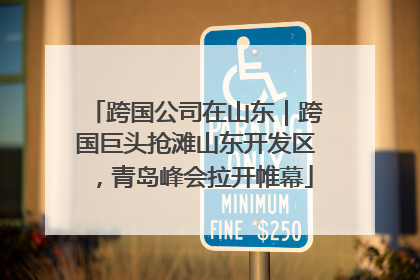 跨国公司在山东｜跨国巨头抢滩山东开发区，青岛峰会拉开帷幕