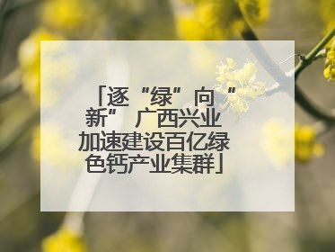 逐“绿”向“新” 广西兴业加速建设百亿绿色钙产业集群