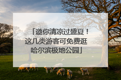 邀你清凉过盛夏！这几类游客可免费逛哈尔滨极地公园