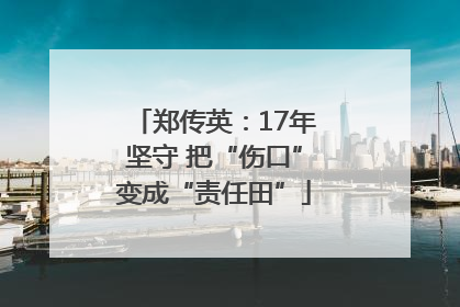 郑传英：17年坚守 把“伤口”变成“责任田”