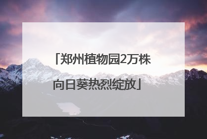 郑州植物园2万株向日葵热烈绽放