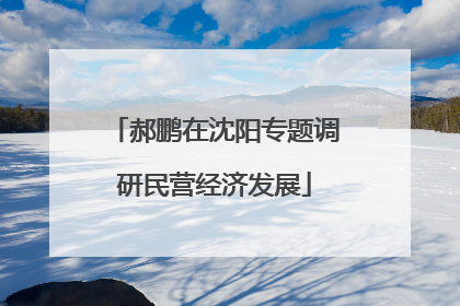 郝鹏在沈阳专题调研民营经济发展