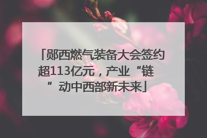 郧西燃气装备大会签约超113亿元，产业“链”动中西部新未来