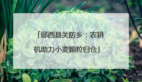 郧西县关防乡：农耕机助力小麦颗粒归仓